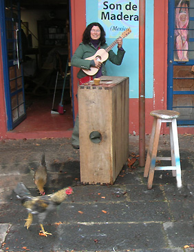 jarana jarocho
