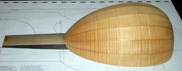 renaissance lute body